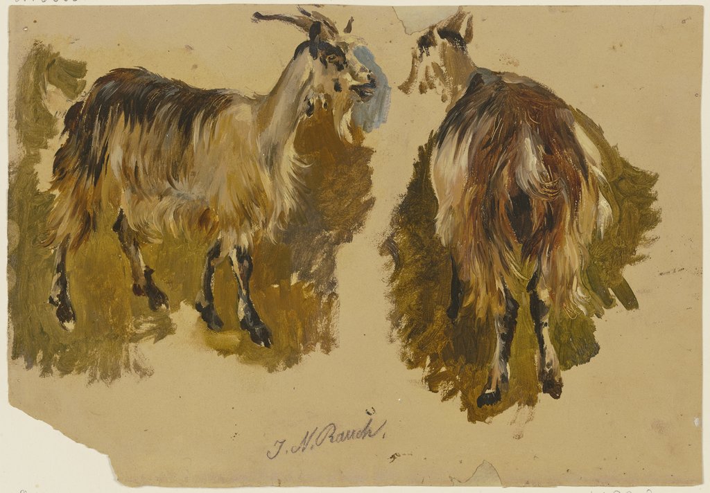 Two goats, Johann Nepomuk Rauch
