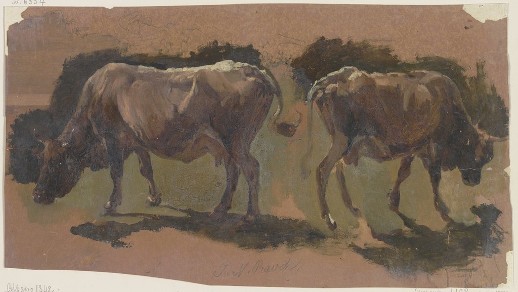 Two cows in Albano, Johann Nepomuk Rauch