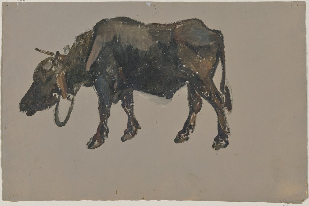 A buffalo, Johann Nepomuk Rauch