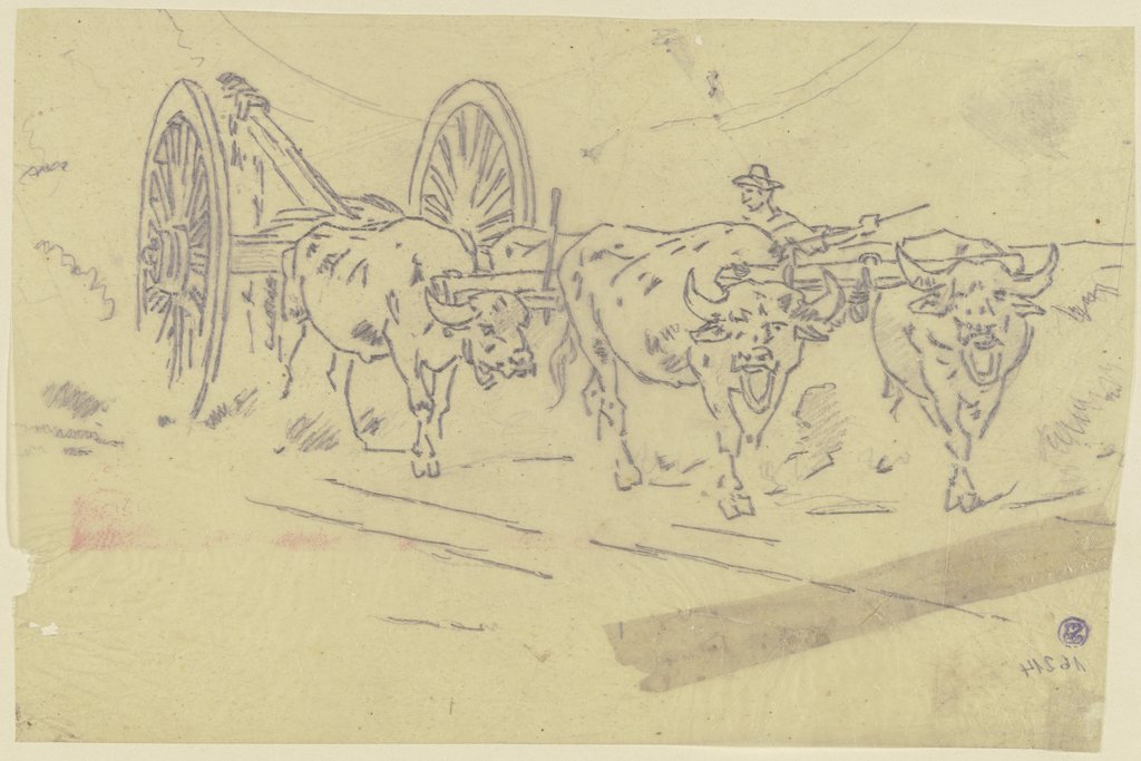 Yoke of oxen, Johann Nepomuk Rauch