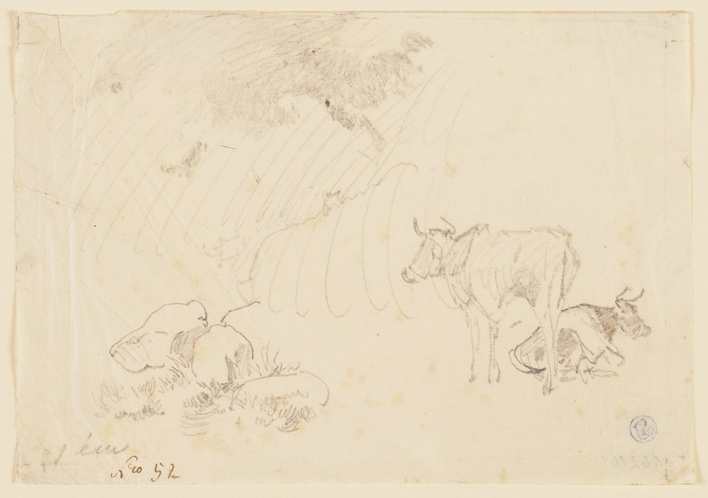 Zwei Kühe, eine stehend, eine liegend, Johann Nepomuk Rauch