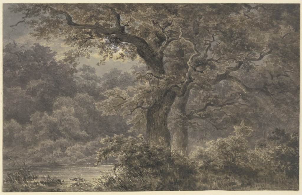 Oak trees in the forest, Johann Wilhelm Schirmer