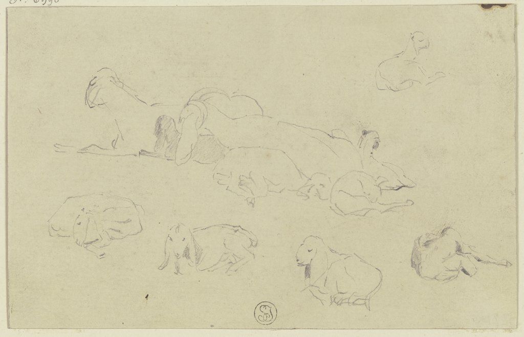 Sheep, Wilhelm Gentz