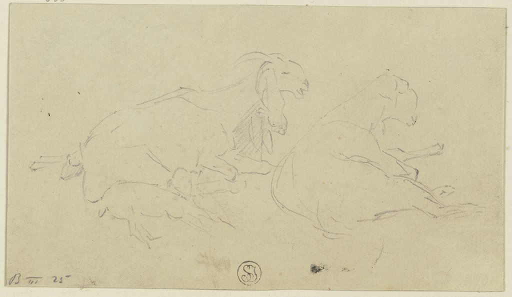 Two goats, Wilhelm Gentz