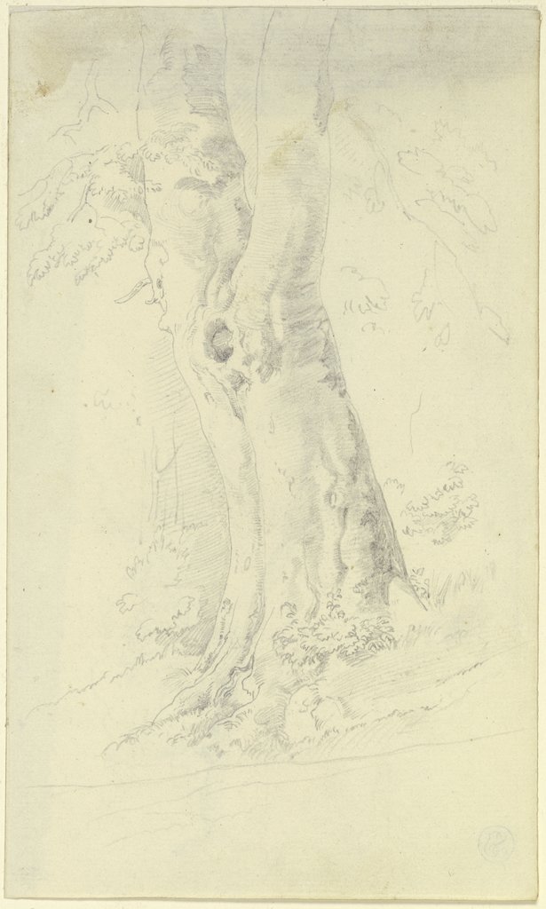 Ein Baum, Deutsch, 19. Jahrhundert