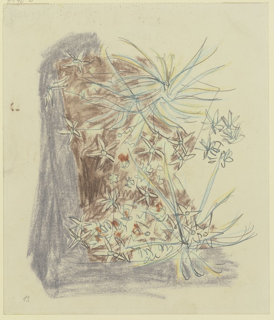 Study of plants, August Babberger