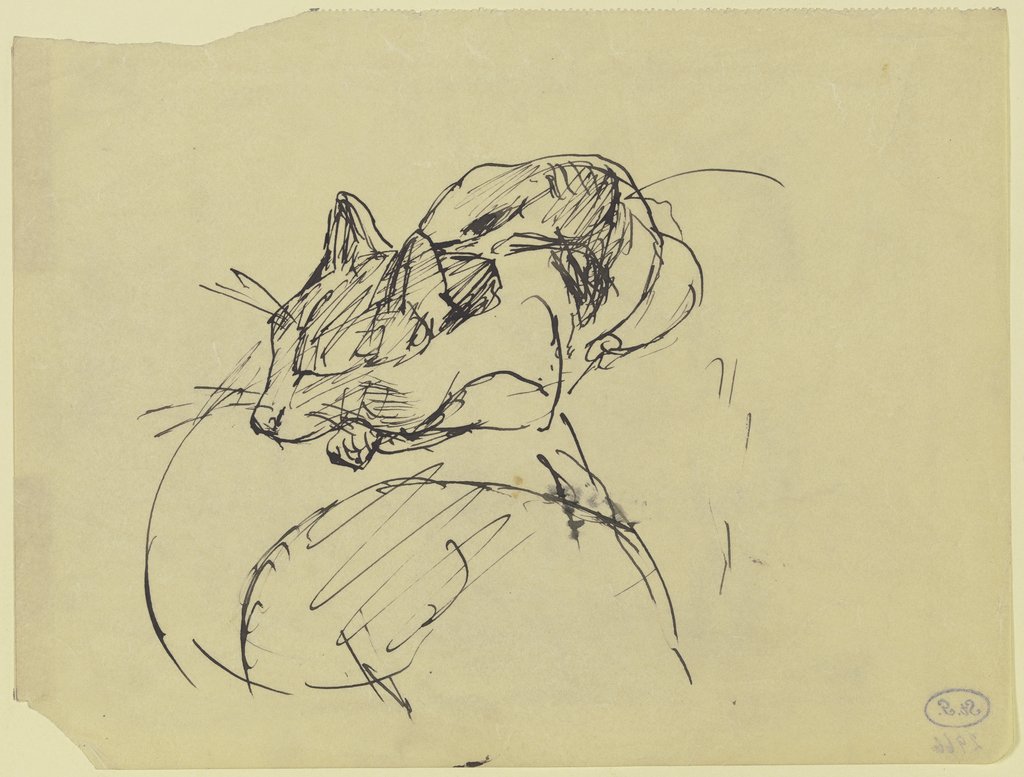Cat, Max Beckmann