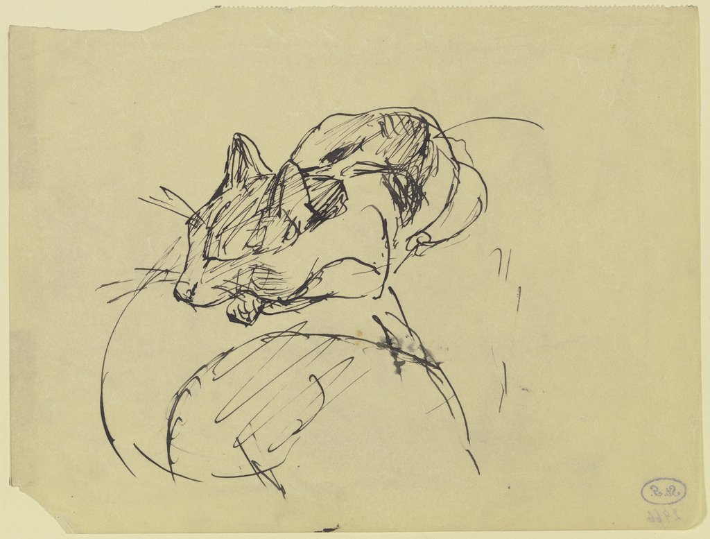 Katze auf Sofalhene, Max Beckmann