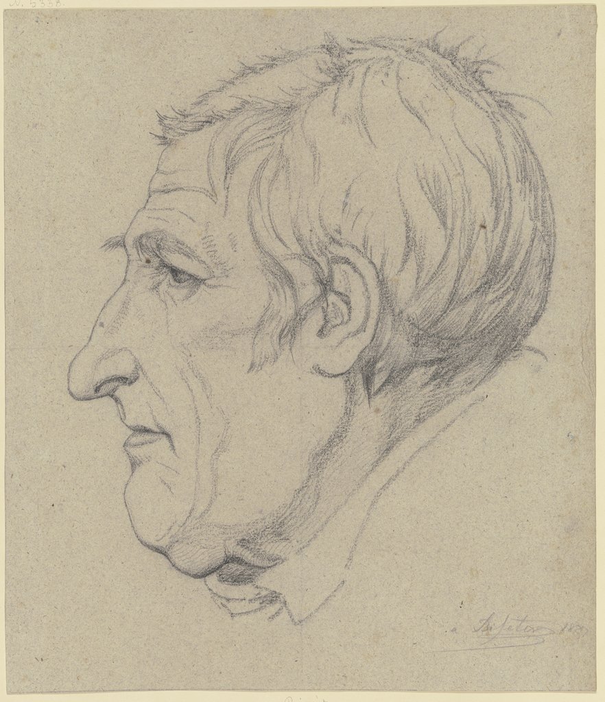 Head in profile, Theodor Pelissier
