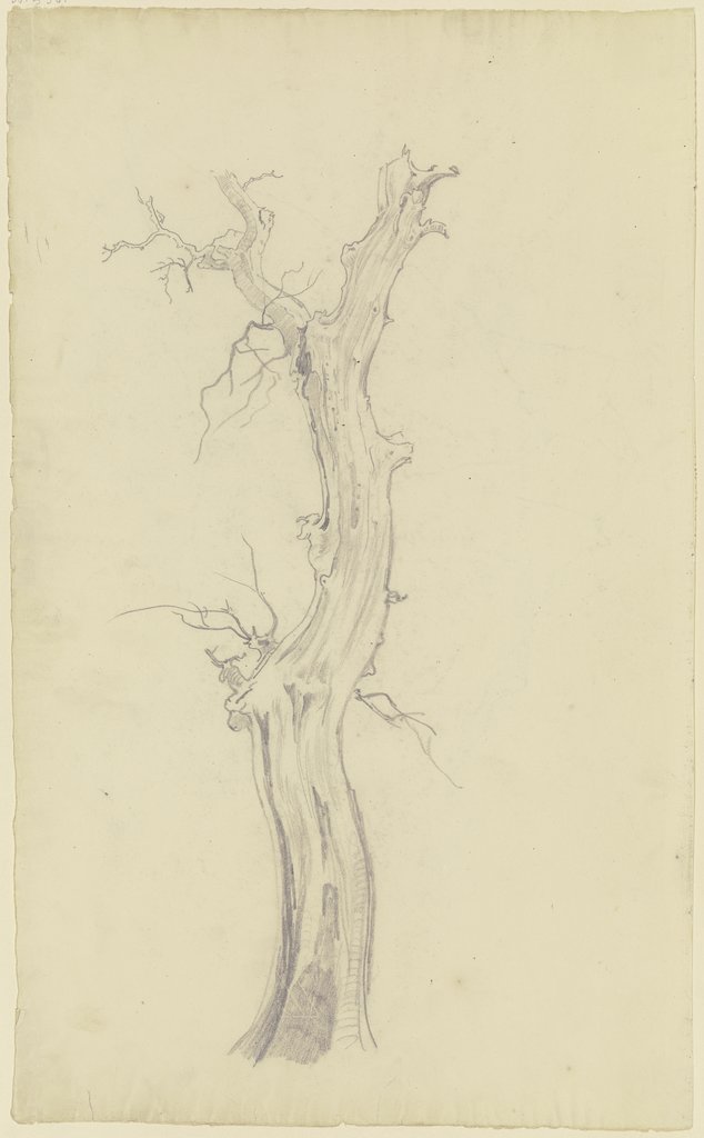 Leafless tree, August Lucas