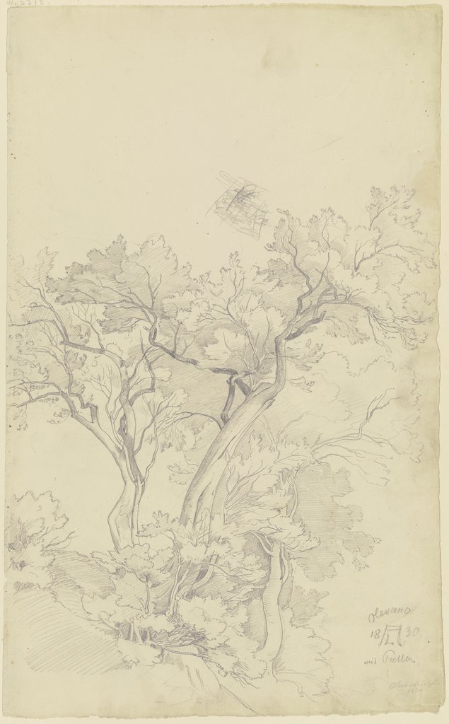 Trees near Olevano, August Lucas