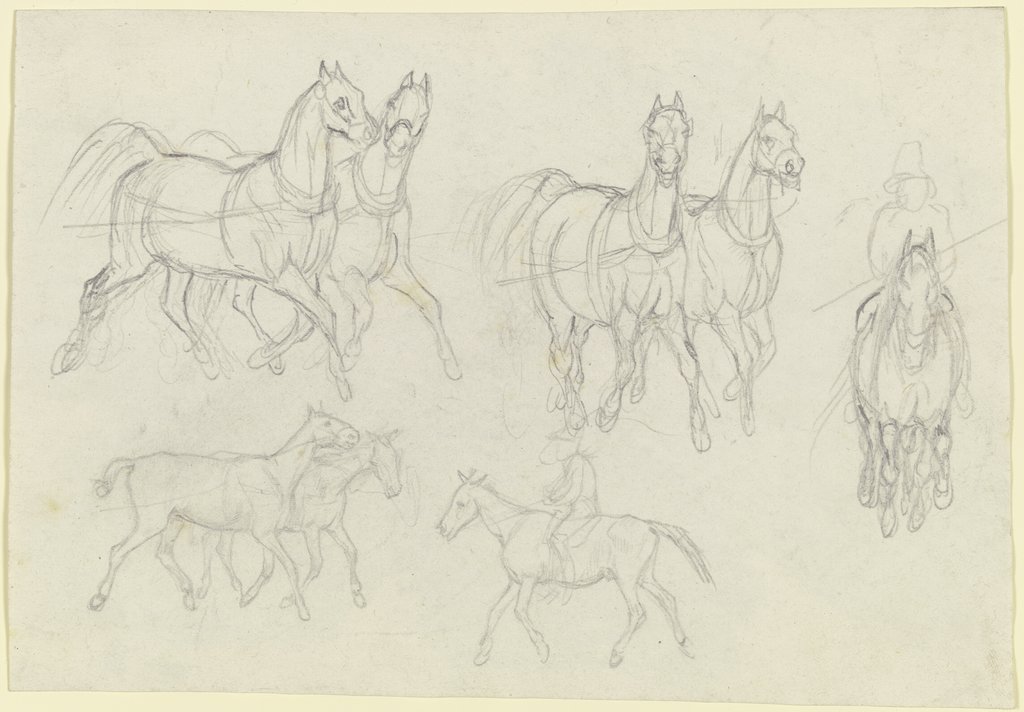 Study of horses, at a trot, August Lucas