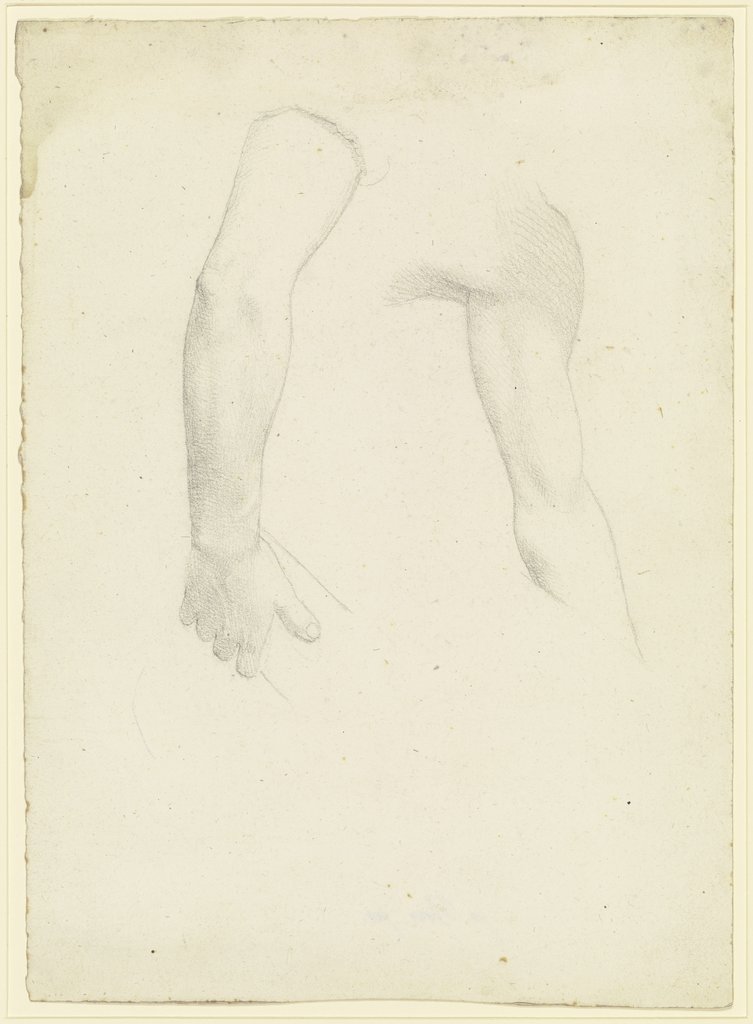Study sheet: two arms, Franz Pforr