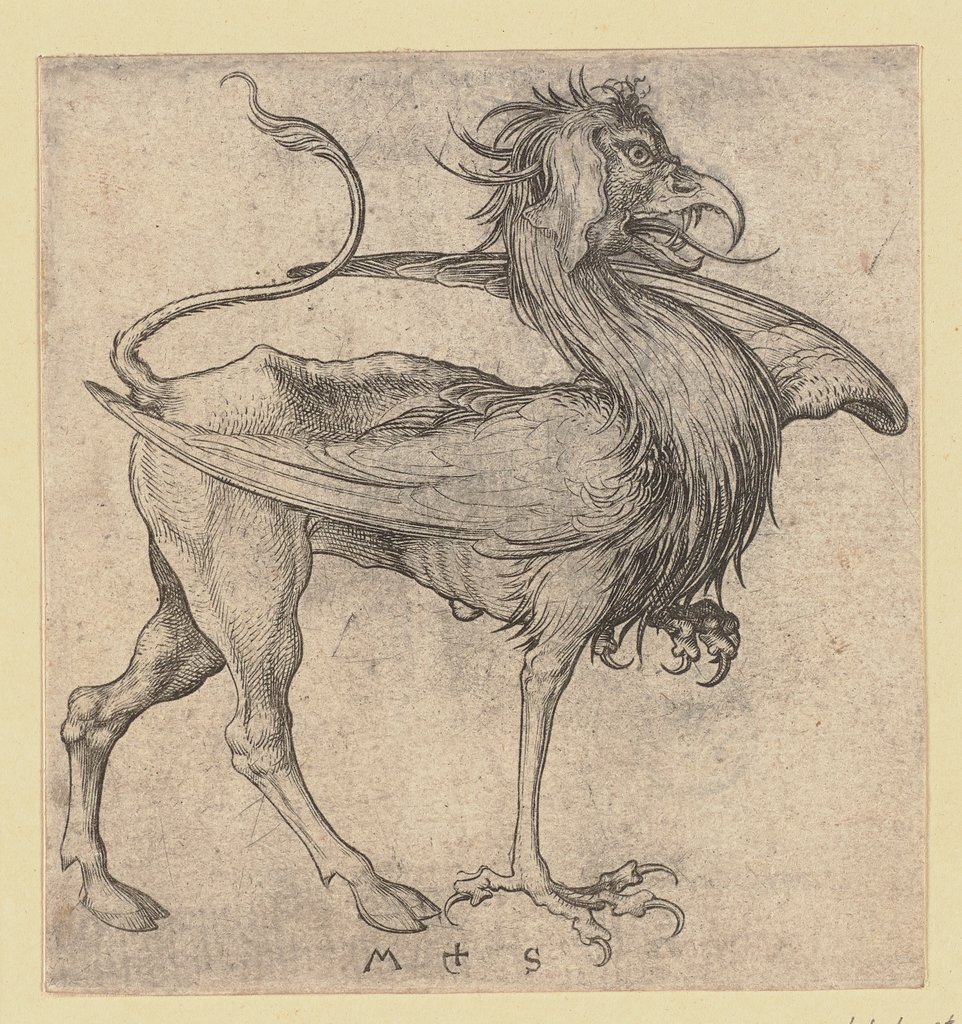 The Griffin, Martin Schongauer