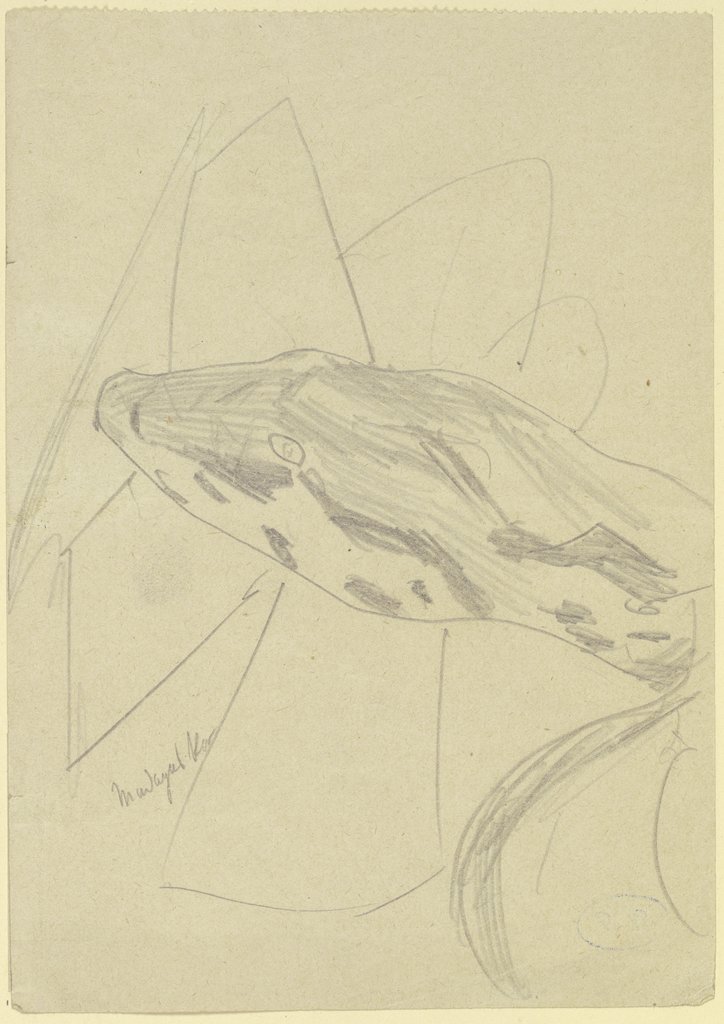 Madagaskar – Snake's head, Max Beckmann