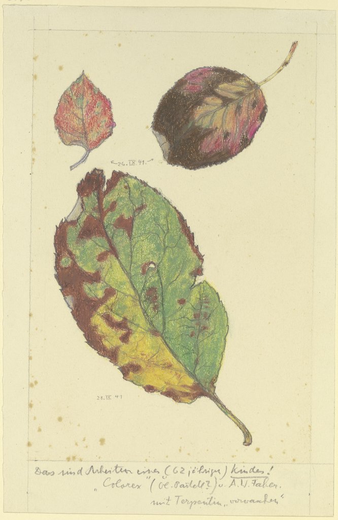 Bunte Herbstblätter, Marcus Behmer