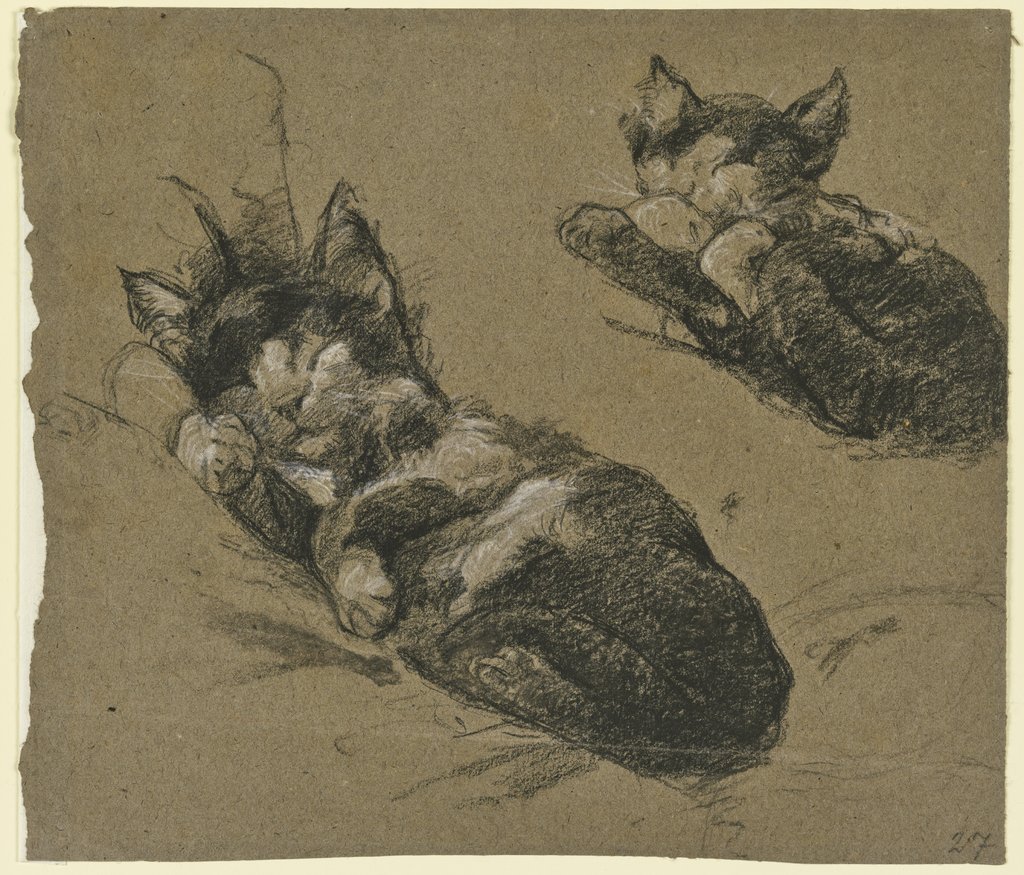 Studienblatt: Zwei Kätzchen, Fritz Boehle