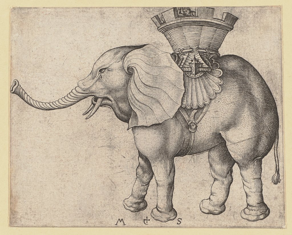 Der Elefant, Martin Schongauer
