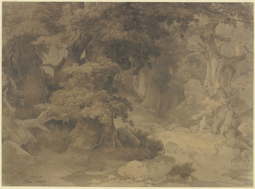 Carl Friedrich Lessing - Digitale Sammlung