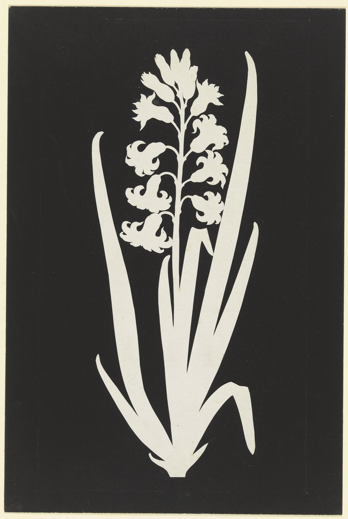 Hyacinth, Philipp Otto Runge