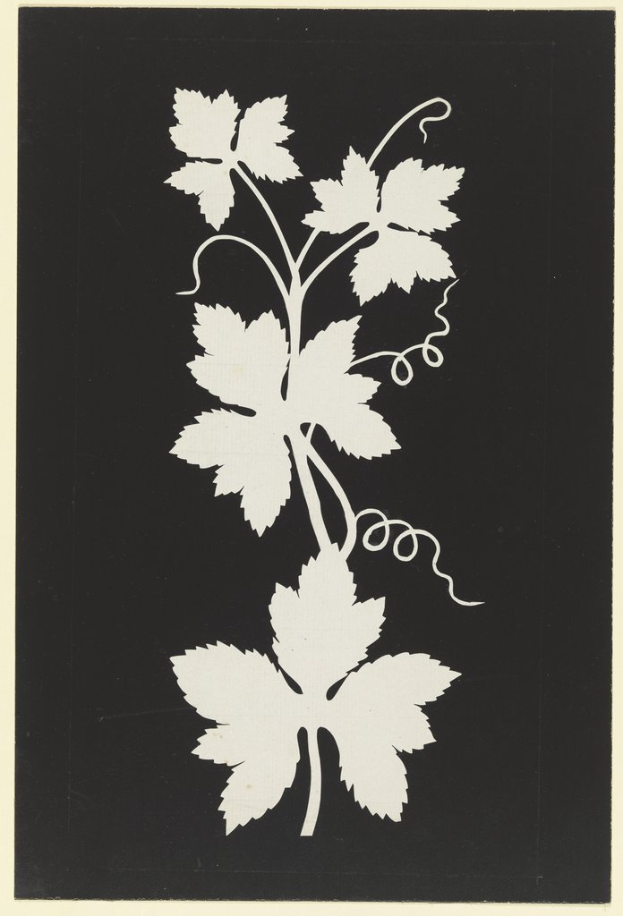 Vine leaves, Philipp Otto Runge