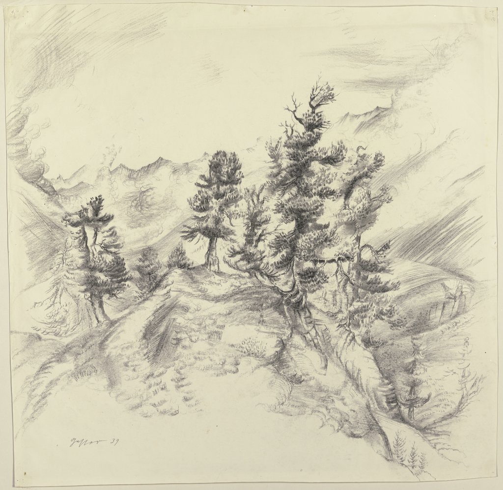 Verwachsene Föhren im Gebirge, Wilhelm Gesser