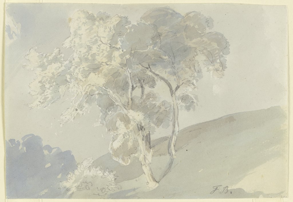 Tree, Fritz Bamberger