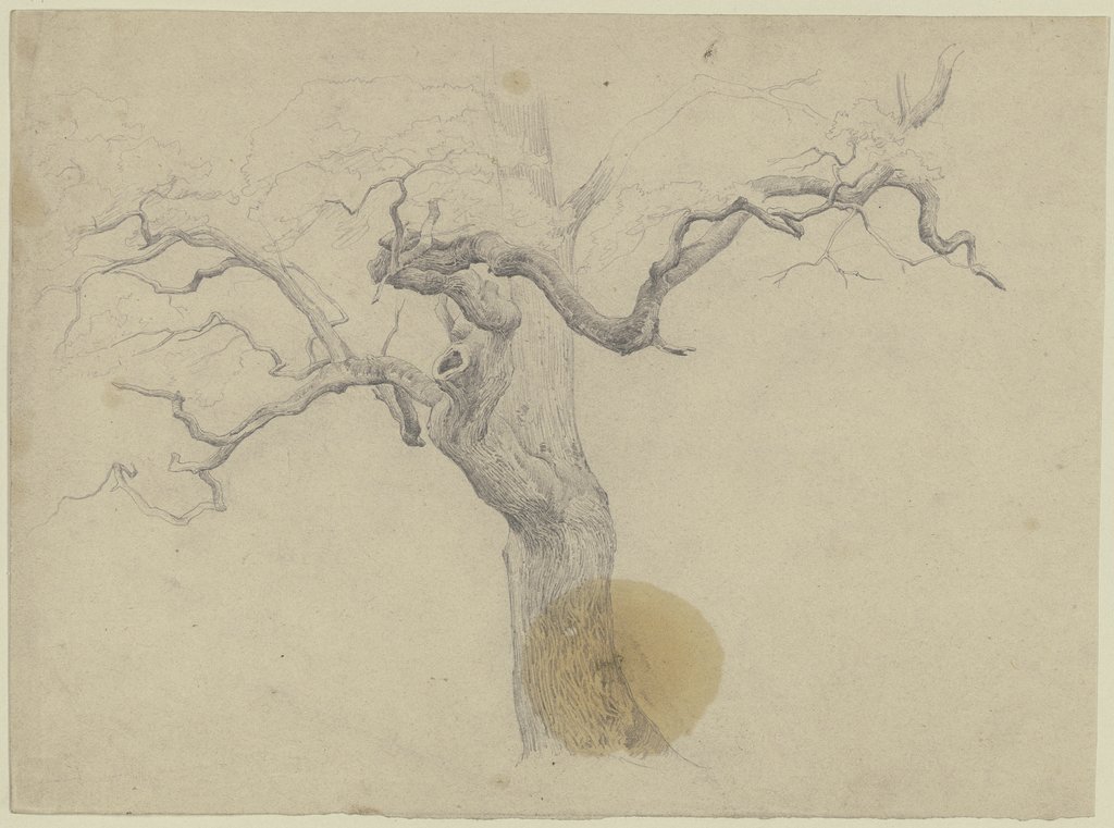 Leafless tree, Jakob Becker