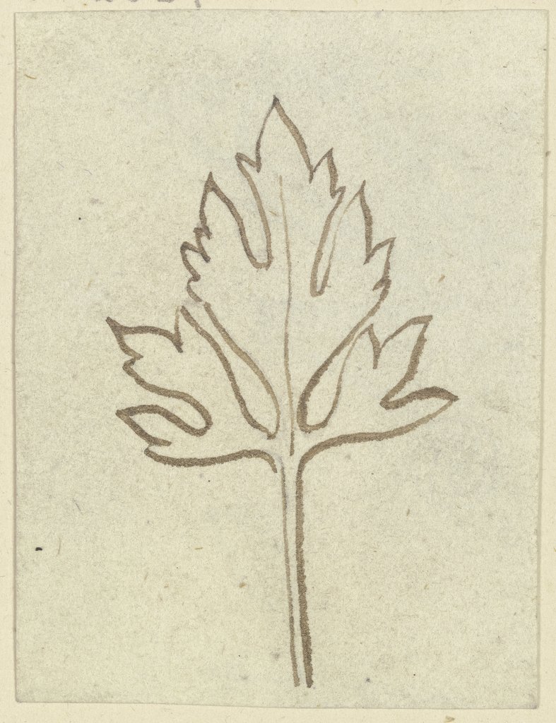 Leaf, Karl Ballenberger