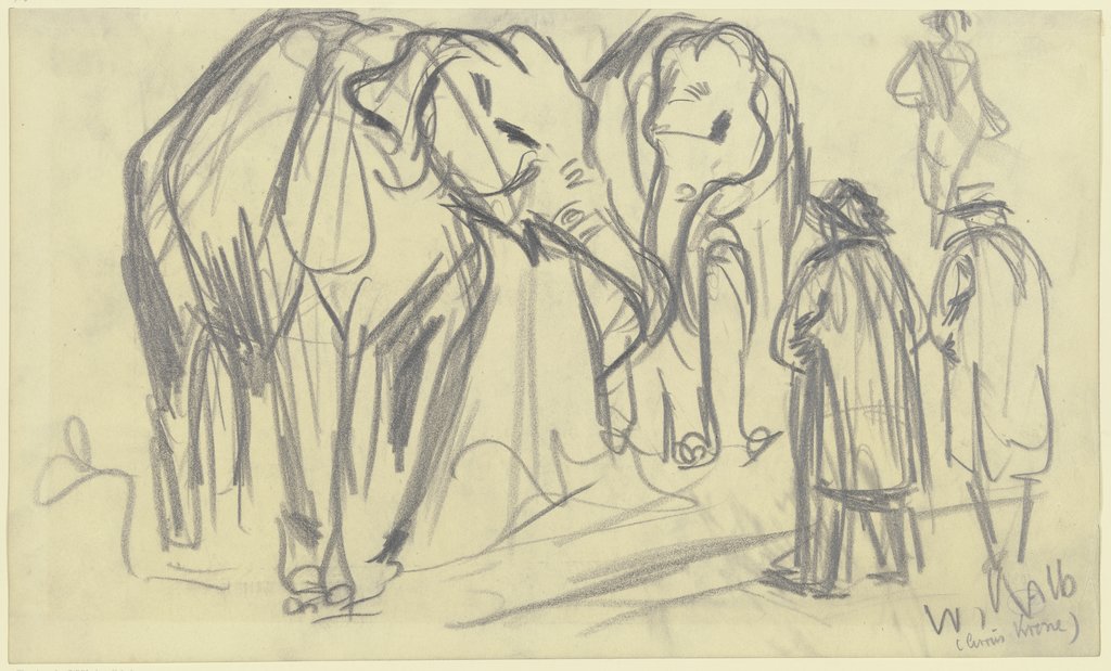 Elephants (Circus Krone), Wilhelm Kalb